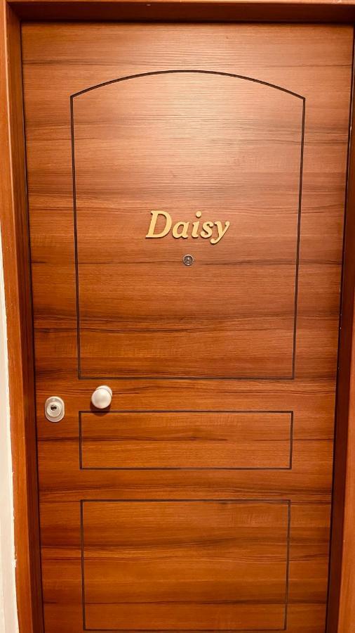 Daisy 15 Min To Acropolis Apartment *